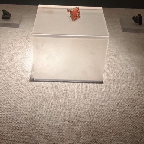 IMG_20231129_104854.jpg