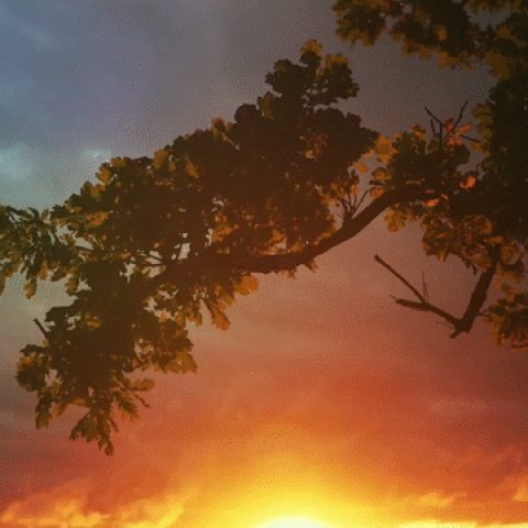 6e6cd7034ddd113710c707938182817a.gif