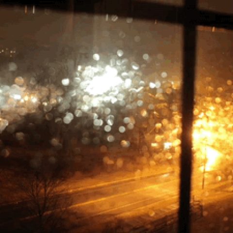 84368f6da56463afa679273c47cc0596.gif
