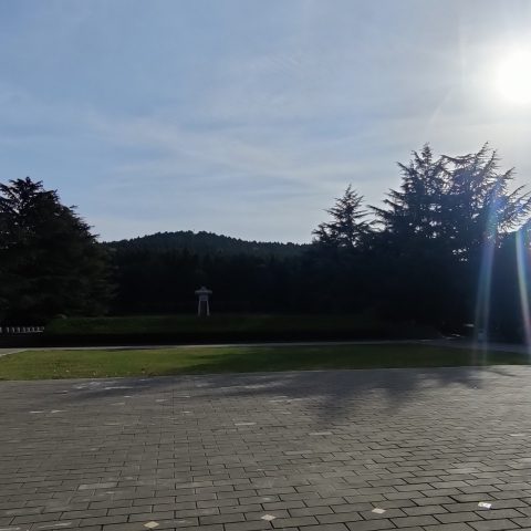 IMG_20231128_145910.jpg