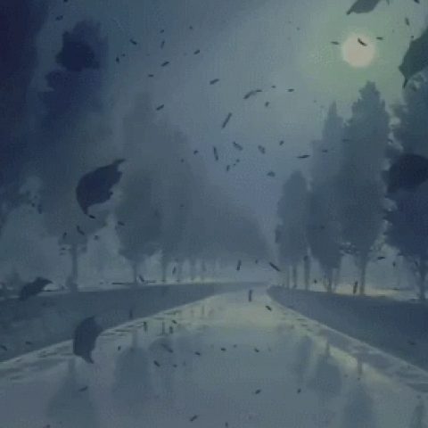 1554966318.gif