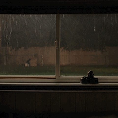 ec9ac3d1e2ee18491d2685bea78b2ffe.gif