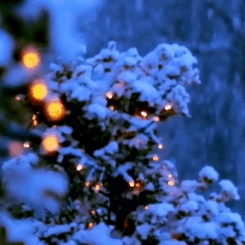 c31ff0416ac83eb3ec1b34818e1be414.gif
