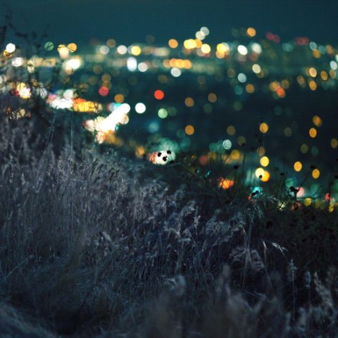 b490728c2fbddba618c6f8b9355ad7d3.gif
