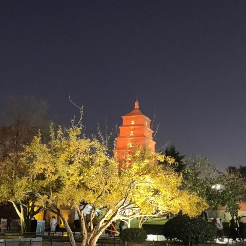 IMG_20231127_181434.jpg