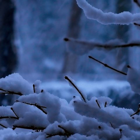 6adf119b8e5a8df451612fc15c94cac5.gif
