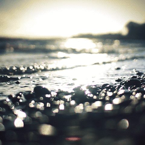 1890651612.gif