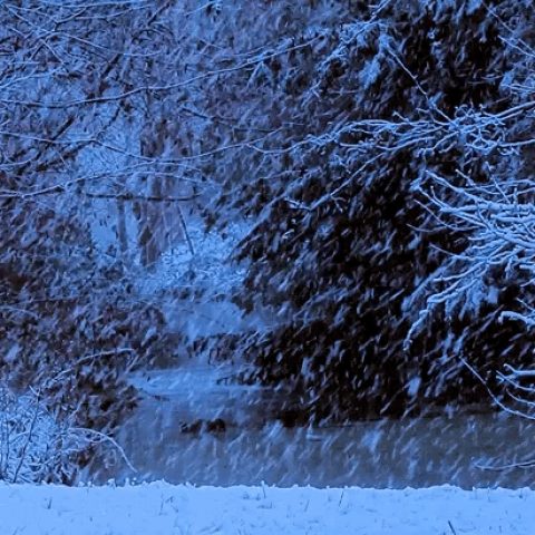 eea84fbd8df7c031a47b4e4b7b1fee91.gif
