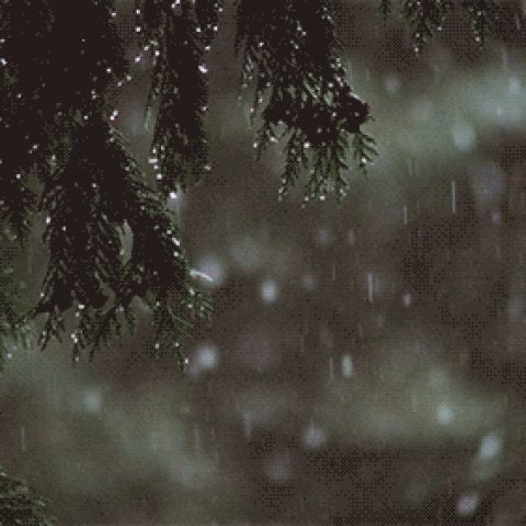 ab555c13130a0ffdda6346913af419f5.gif