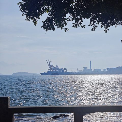 Cache_39cfa53b6d00078e.jpg