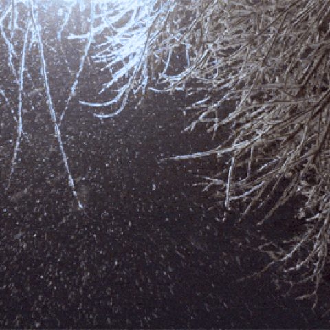 18682d549ce9e2e041aabfe06bbb62c7.gif