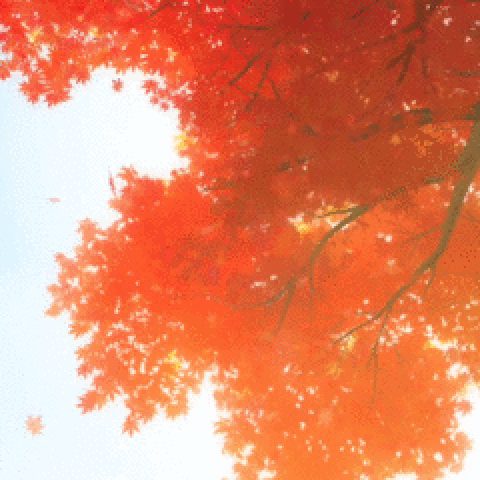 be77847711dfaf26e99ca867df5d1589.gif