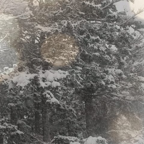 e49e5e8c818fd3e9939569410490fada.gif